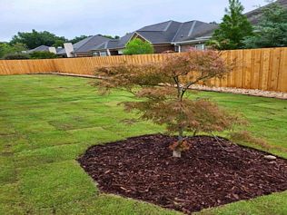 Privacy fences in Auburn, AL